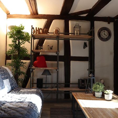 Sous Les Toits Du Zinc - Climatise Apartamento Colmar Exterior foto
